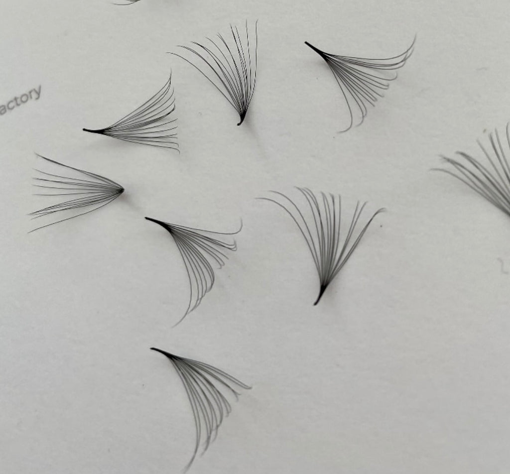 Extensions Premade 12D – Volume Russe