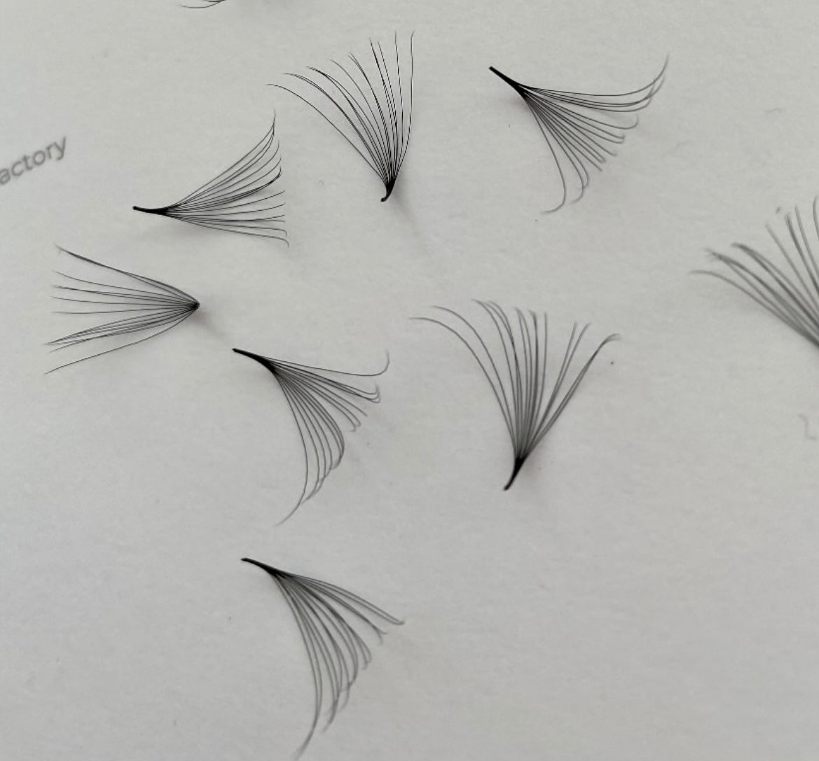 Extensions Premade 12D – Volume Russe